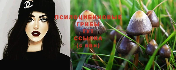 каннабис Арсеньев
