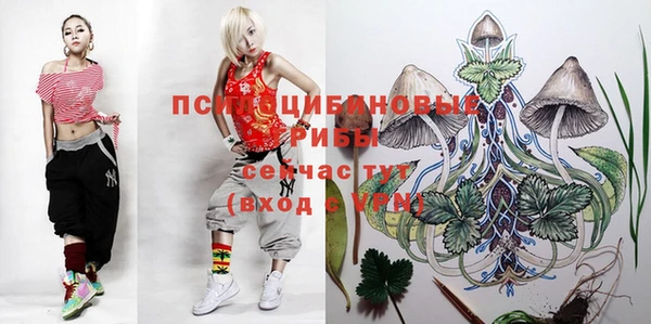 бошки Аркадак